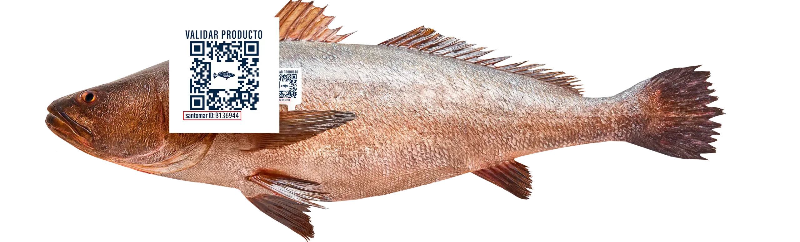 totoada